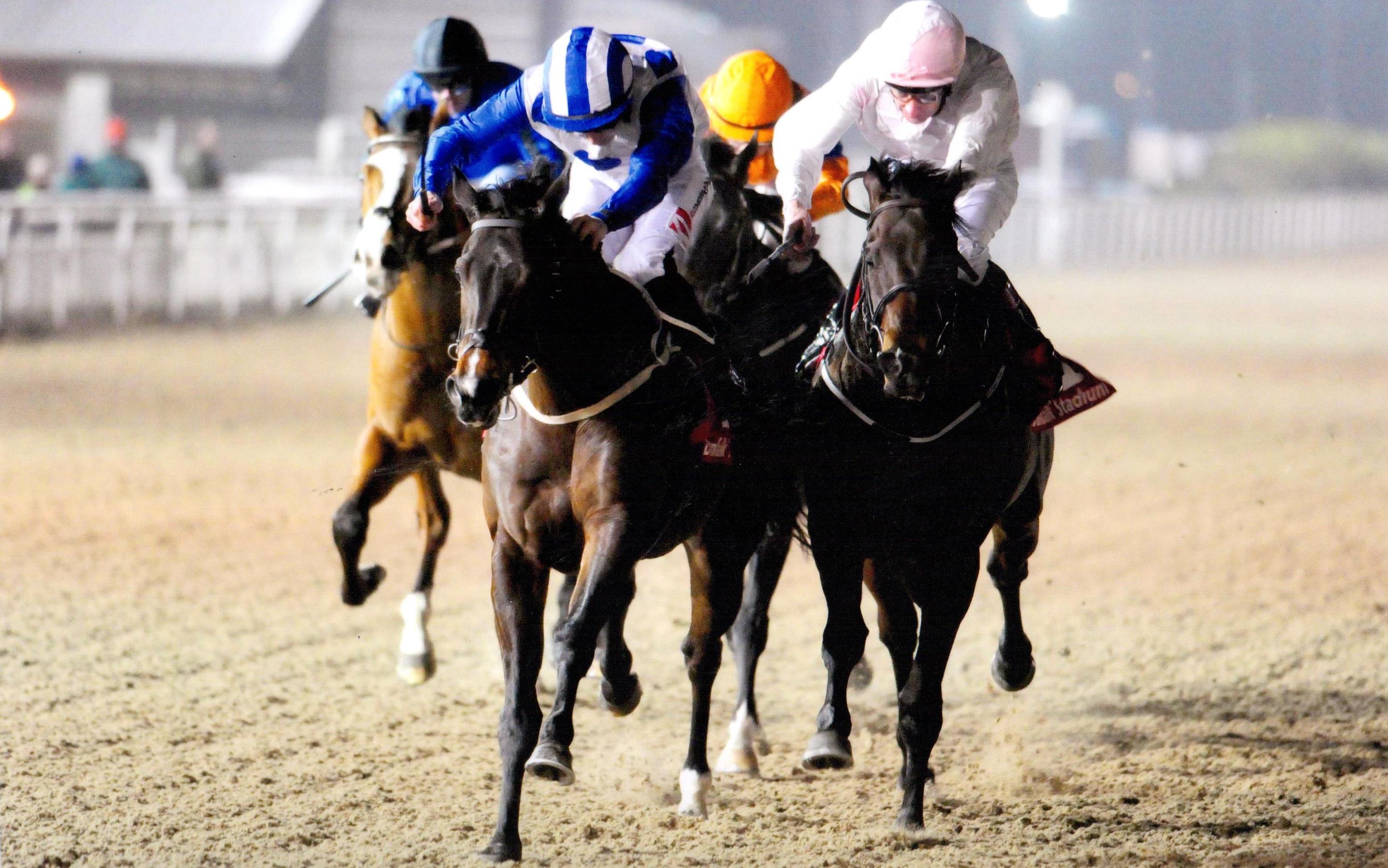 ROCK IN PEACE continues a winning streak for the team at Dundalk 20th January 2017